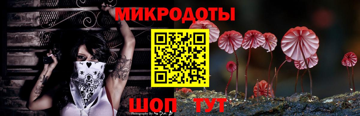 Коряжма  хочу наркоту  Вход с VPN  Псилоцибиновые грибы мицелий 